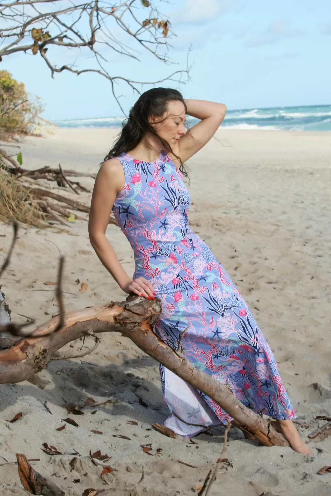 Emilee Maxi Shift Dress Ava