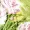 Green Floral Satin Ruched Shoulder Batwing Top