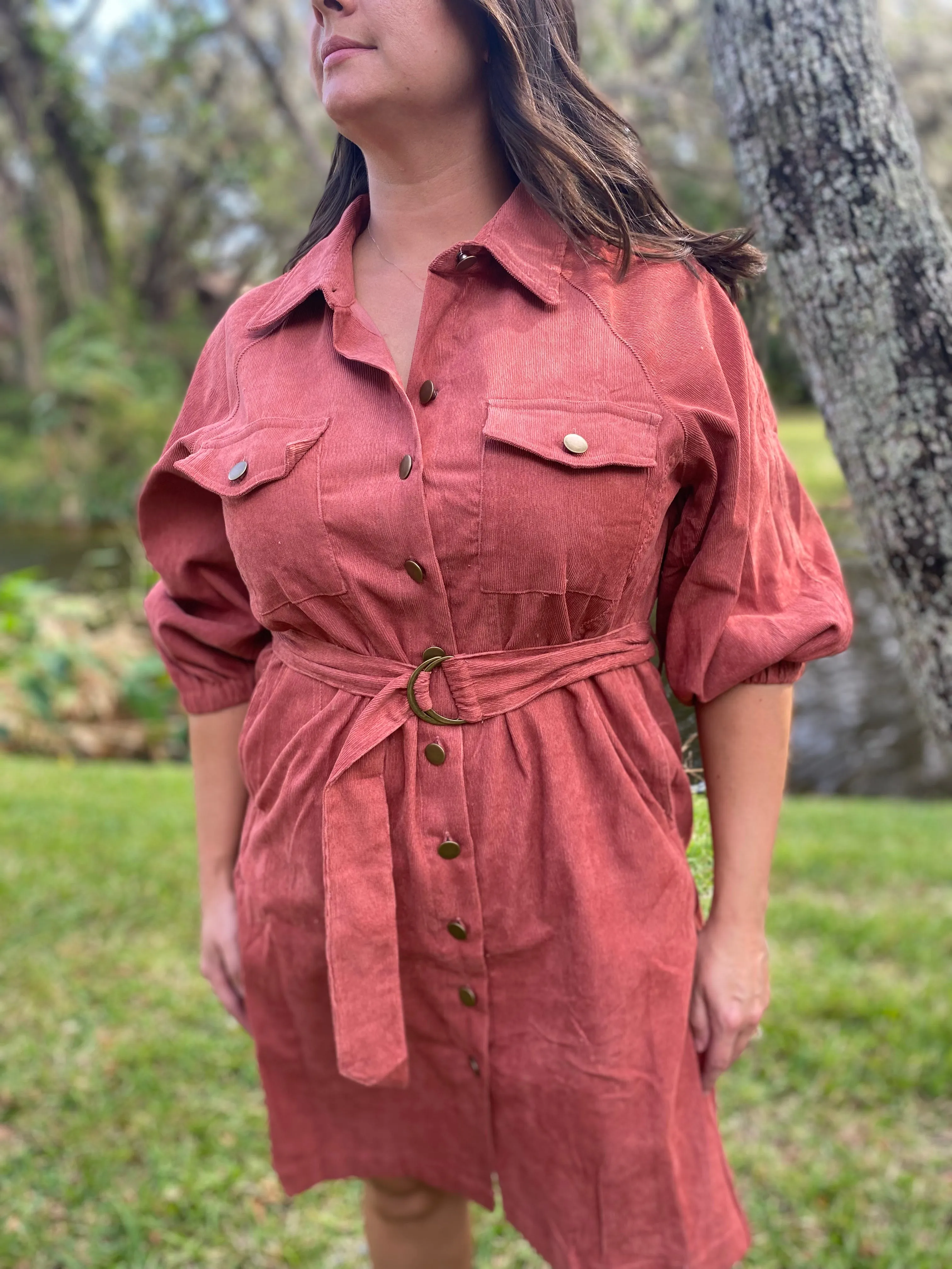 Rosewood Corduroy Dress